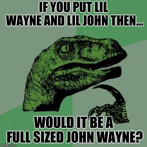Philosoraptor Meme | IF YOU PUT LIL WAYNE AND LIL JOHN THEN... WOULD IT BE A FULL SIZED JOHN WAYNE? | image tagged in memes,philosoraptor | made w/ Imgflip meme maker