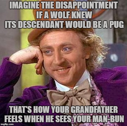Creepy Condescending Wonka Meme | IMAGINE THE DISAPPOINTMENT IF A WOLF KNEW ITS DESCENDANT WOULD BE A PUG; THAT'S HOW YOUR GRANDFATHER FEELS WHEN HE SEES YOUR MAN-BUN | image tagged in memes,creepy condescending wonka | made w/ Imgflip meme maker