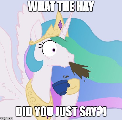 WHAT THE HAY; DID YOU JUST SAY?! | image tagged in what the hay did you just say | made w/ Imgflip meme maker