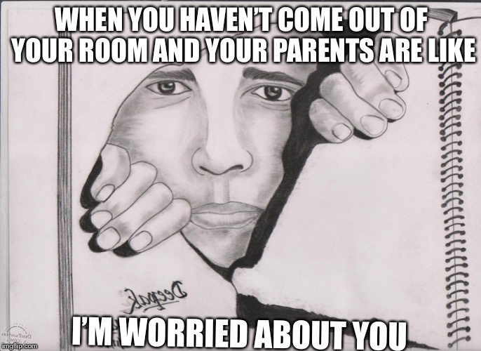Hibernation  | WHEN YOU HAVEN’T COME OUT OF YOUR ROOM AND YOUR PARENTS ARE LIKE; I’M WORRIED ABOUT YOU | image tagged in funny | made w/ Imgflip meme maker