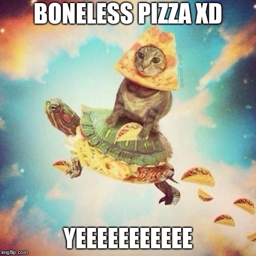 Space Pizza Cat Turtle Tacos | BONELESS PIZZA XD; YEEEEEEEEEEE | image tagged in space pizza cat turtle tacos | made w/ Imgflip meme maker