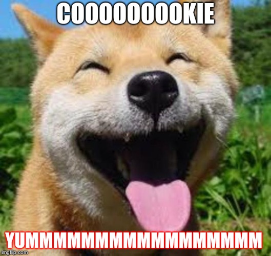 Happy Doge | COOOOOOOOKIE; YUMMMMMMMMMMMMMMMMM | image tagged in happy doge | made w/ Imgflip meme maker