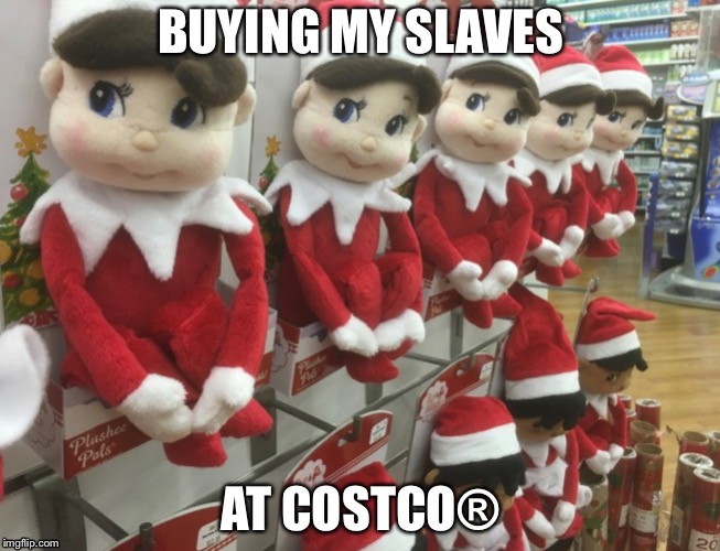 Slaves | BUYING MY SLAVES; AT COSTCO® | image tagged in memes,funny,holidays,slaves | made w/ Imgflip meme maker