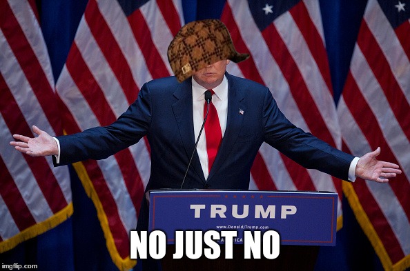 Donald Trump | NO JUST NO | image tagged in donald trump,scumbag | made w/ Imgflip meme maker