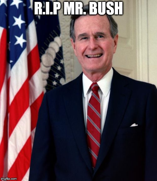George Bush | R.I.P MR. BUSH | image tagged in george bush | made w/ Imgflip meme maker