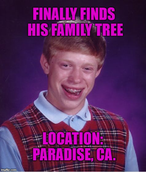 My family tree is in Paradise, California. Where's yours? | FINALLY FINDS HIS FAMILY TREE; LOCATION: PARADISE, CA. | image tagged in memes,bad luck brian,family,burned,fire,california | made w/ Imgflip meme maker