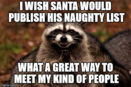 Santa's naughty list, where all the cool people are. | I WISH SANTA WOULD PUBLISH HIS NAUGHTY LIST; WHAT A GREAT WAY TO MEET MY KIND OF PEOPLE | image tagged in memes,evil plotting raccoon | made w/ Imgflip meme maker