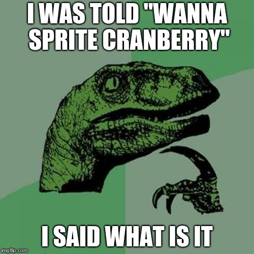 Philosoraptor | I WAS TOLD "WANNA SPRITE CRANBERRY"; I SAID WHAT IS IT | image tagged in memes,philosoraptor | made w/ Imgflip meme maker