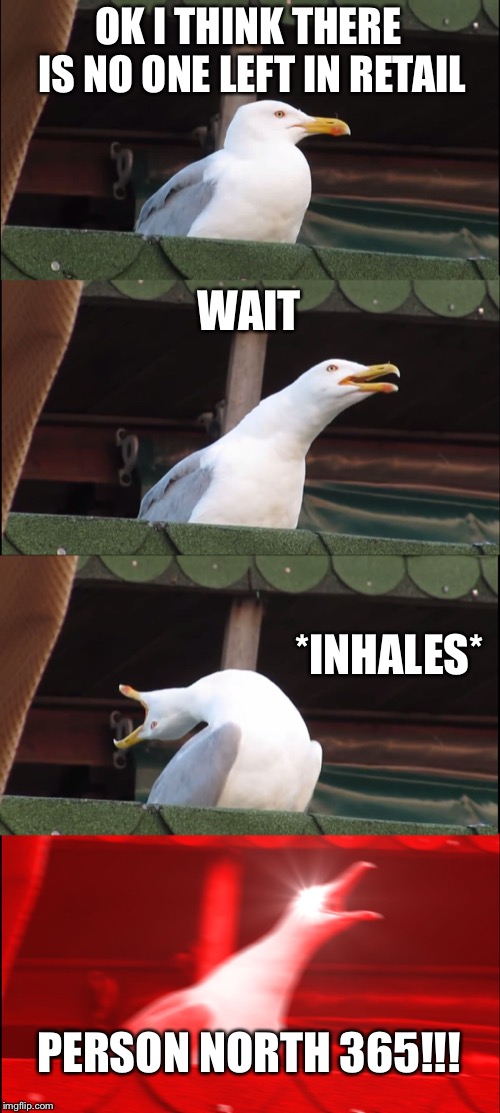 Inhaling Seagull Meme | OK I THINK THERE IS NO ONE LEFT IN RETAIL; WAIT; *INHALES*; PERSON NORTH 365!!! | image tagged in memes,inhaling seagull | made w/ Imgflip meme maker