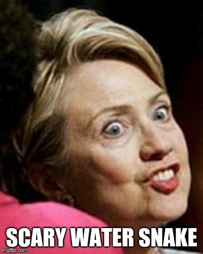 Hillary Clinton Fish | SCARY WATER SNAKE | image tagged in hillary clinton fish | made w/ Imgflip meme maker