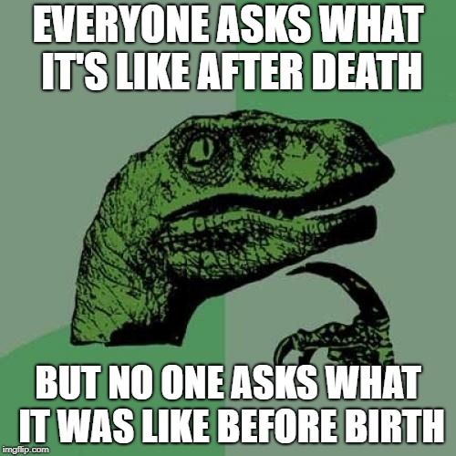 Philosoraptor | EVERYONE ASKS WHAT IT'S LIKE AFTER DEATH; BUT NO ONE ASKS WHAT IT WAS LIKE BEFORE BIRTH | image tagged in memes,philosoraptor | made w/ Imgflip meme maker