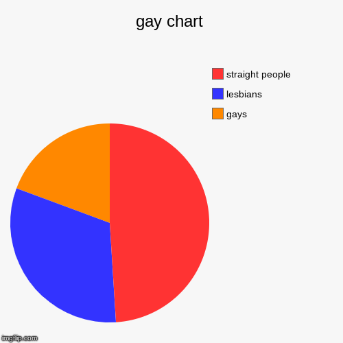 gay chart | gays, lesbians, straight people | image tagged in funny,pie charts | made w/ Imgflip chart maker