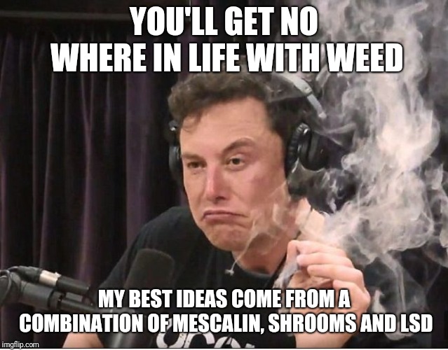 Elon Musk smoking a joint | YOU'LL GET NO WHERE IN LIFE WITH WEED; MY BEST IDEAS COME FROM A COMBINATION OF MESCALIN, SHROOMS AND LSD | image tagged in elon musk smoking a joint | made w/ Imgflip meme maker