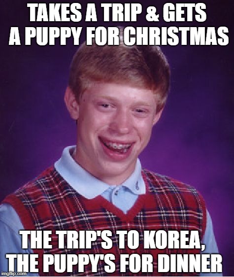 Seasons Eatings, Brian | TAKES A TRIP & GETS A PUPPY FOR CHRISTMAS; THE TRIP'S TO KOREA, THE PUPPY'S FOR DINNER | image tagged in memes,bad luck brian,food,travel,christmas | made w/ Imgflip meme maker