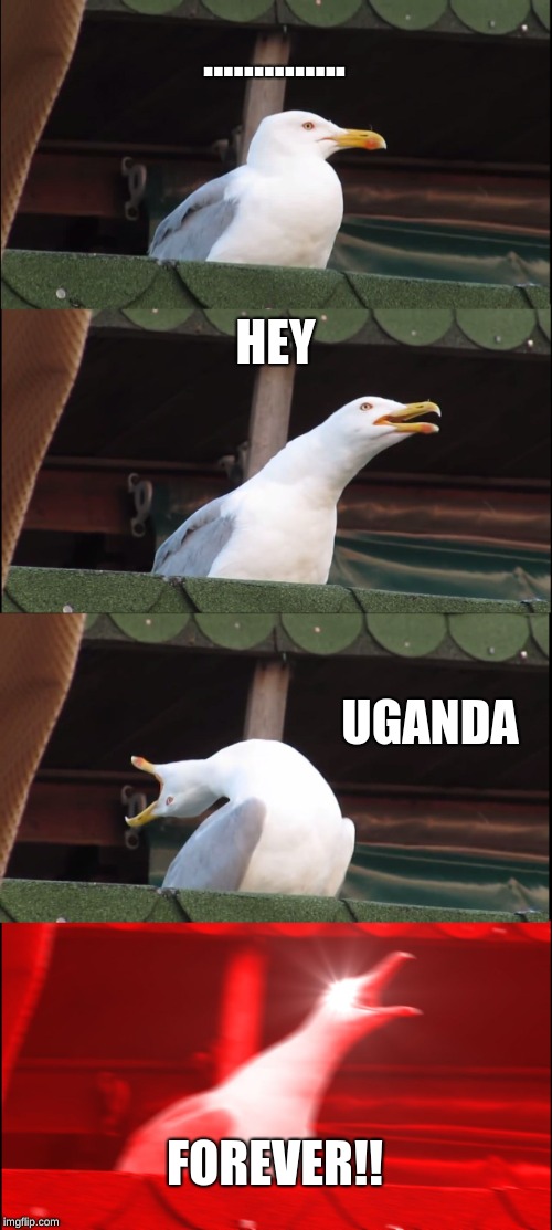 Inhaling Seagull | .............. HEY; UGANDA; FOREVER!! | image tagged in memes,inhaling seagull | made w/ Imgflip meme maker