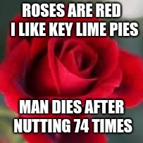 roses are red | ROSES ARE RED 
I LIKE KEY LIME PIES; MAN DIES AFTER NUTTING 74 TIMES | image tagged in roses are red | made w/ Imgflip meme maker