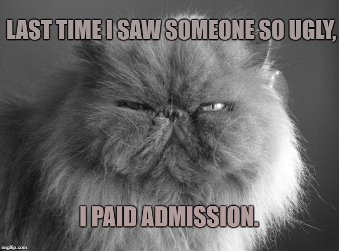 I resemble that remark.  | LAST TIME I SAW SOMEONE SO UGLY, I PAID ADMISSION. | image tagged in mean cat don't care,ugly,grumpy cat,put down | made w/ Imgflip meme maker