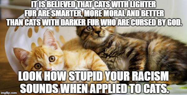 racism | IT IS BELIEVED THAT CATS WITH LIGHTER FUR ARE SMARTER, MORE MORAL AND BETTER THAN CATS WITH DARKER FUR WHO ARE CURSED BY GOD. LOOK HOW STUPID YOUR RACISM SOUNDS WHEN APPLIED TO CATS. | image tagged in racism,cats | made w/ Imgflip meme maker