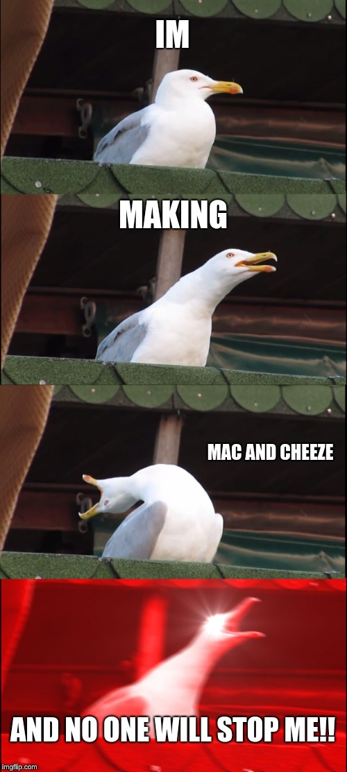 Inhaling Seagull Meme | IM; MAKING; MAC AND CHEEZE; AND NO ONE WILL STOP ME!! | image tagged in memes,inhaling seagull | made w/ Imgflip meme maker
