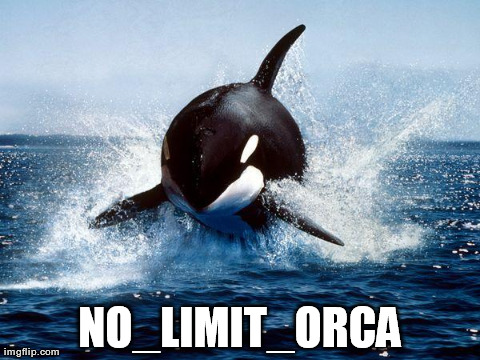 NO_LIMIT_ORCA | image tagged in orca | made w/ Imgflip meme maker