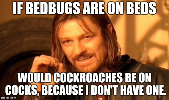 One Does Not Simply Meme | IF BEDBUGS ARE ON BEDS; WOULD COCKROACHES BE ON COCKS, BECAUSE I DON'T HAVE ONE. | image tagged in memes,one does not simply | made w/ Imgflip meme maker