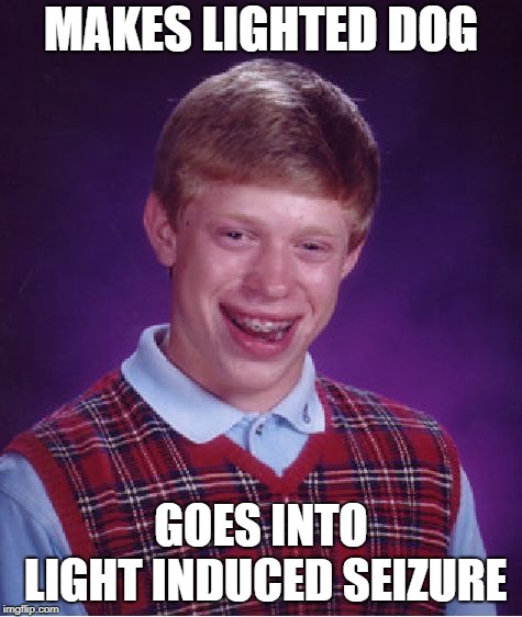 Bad Luck Brian Meme | MAKES LIGHTED DOG GOES INTO LIGHT INDUCED SEIZURE | image tagged in memes,bad luck brian | made w/ Imgflip meme maker