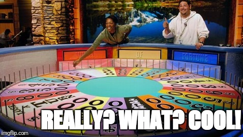 a new game! | REALLY? WHAT? COOL! | image tagged in wheel of fortune | made w/ Imgflip meme maker