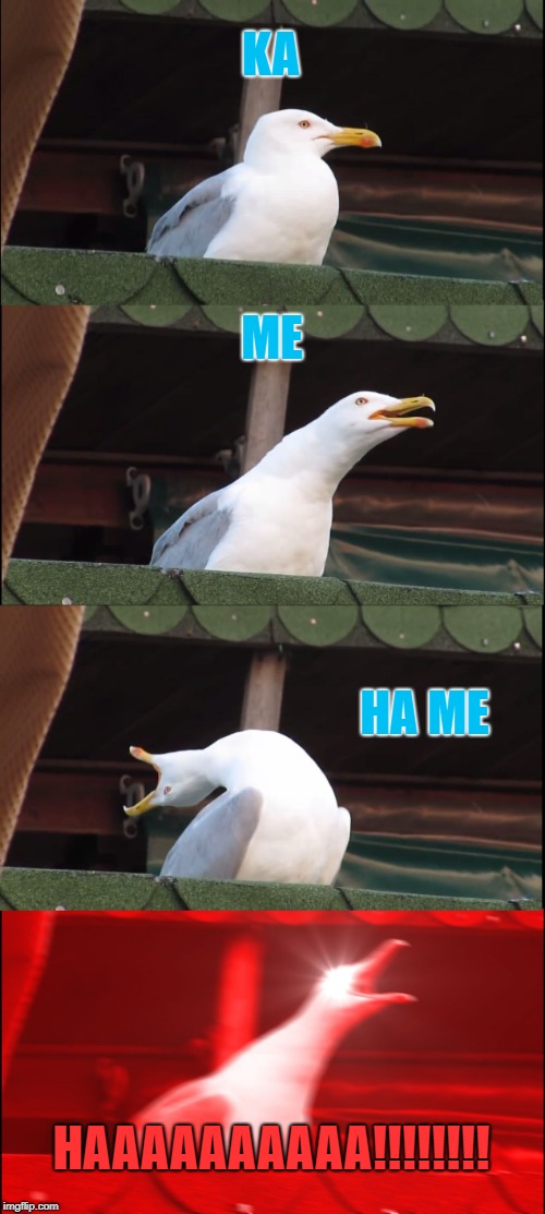 Inhaling Seagull Meme | KA; ME; HA ME; HAAAAAAAAAA!!!!!!!! | image tagged in memes,inhaling seagull | made w/ Imgflip meme maker