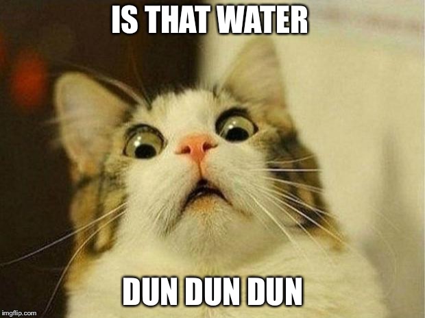 Scared Cat Meme | IS THAT WATER; DUN DUN DUN | image tagged in memes,scared cat | made w/ Imgflip meme maker