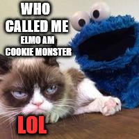 grumpy cat and cookie monster | WHO CALLED ME; ELMO AM COOKIE MONSTER; LOL | image tagged in grumpy cat and cookie monster,funny,funny memes,funny meme,cookie monster,grumpy cat | made w/ Imgflip meme maker