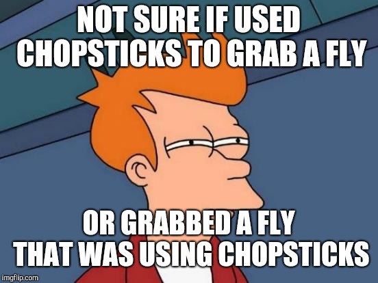 Futurama Fry Meme | NOT SURE IF USED CHOPSTICKS TO GRAB A FLY OR GRABBED A FLY THAT WAS USING CHOPSTICKS | image tagged in memes,futurama fry | made w/ Imgflip meme maker