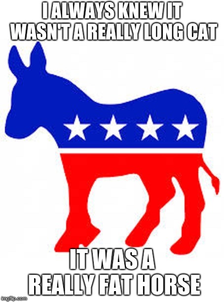 Democrat donkey | I ALWAYS KNEW IT WASN'T A REALLY LONG CAT; IT WAS A REALLY FAT HORSE | image tagged in democrat donkey | made w/ Imgflip meme maker