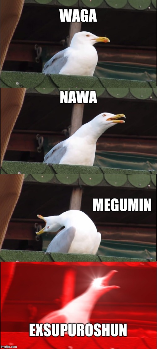 Watch Konusuba | WAGA; NAWA; MEGUMIN; EXSUPUROSHUN | image tagged in memes,inhaling seagull | made w/ Imgflip meme maker