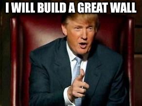 Donald Trump | I WILL BUILD A GREAT WALL | image tagged in donald trump | made w/ Imgflip meme maker