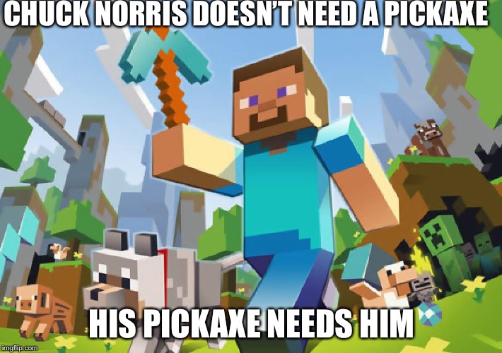 Minecraft  | CHUCK NORRIS DOESN’T NEED A PICKAXE; HIS PICKAXE NEEDS HIM | image tagged in minecraft | made w/ Imgflip meme maker