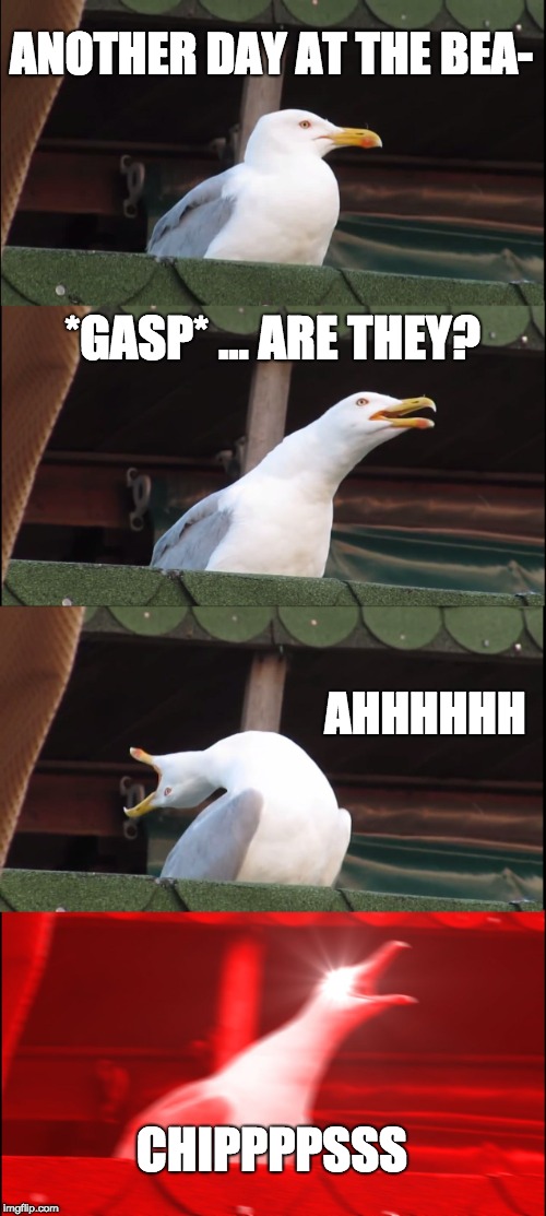 ME | ANOTHER DAY AT THE BEA-; *GASP* ... ARE THEY? AHHHHHH; CHIPPPPSSS | image tagged in memes,inhaling seagull,funny memes,original meme,original,dead memes week | made w/ Imgflip meme maker