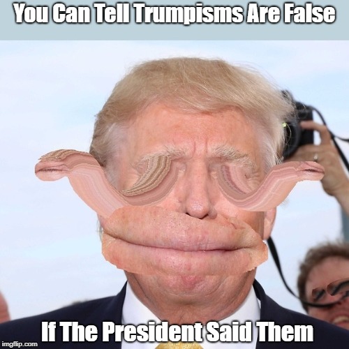 You Can Tell Trumpisms Are False If The President Said Them | made w/ Imgflip meme maker