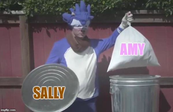 Sonic Trash  | AMY; SALLY | image tagged in sonic trash | made w/ Imgflip meme maker