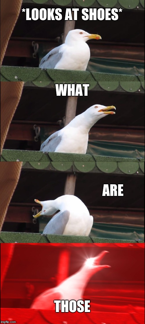 Inhaling Seagull Meme | *LOOKS AT SHOES*; WHAT; ARE; THOSE | image tagged in memes,inhaling seagull | made w/ Imgflip meme maker