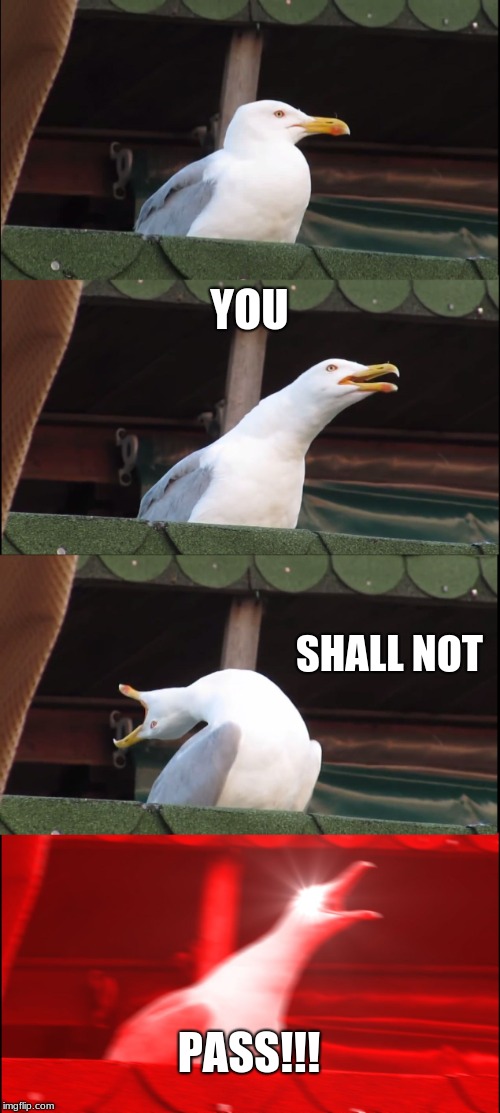 Inhaling Seagull | YOU; SHALL NOT; PASS!!! | image tagged in memes,inhaling seagull | made w/ Imgflip meme maker