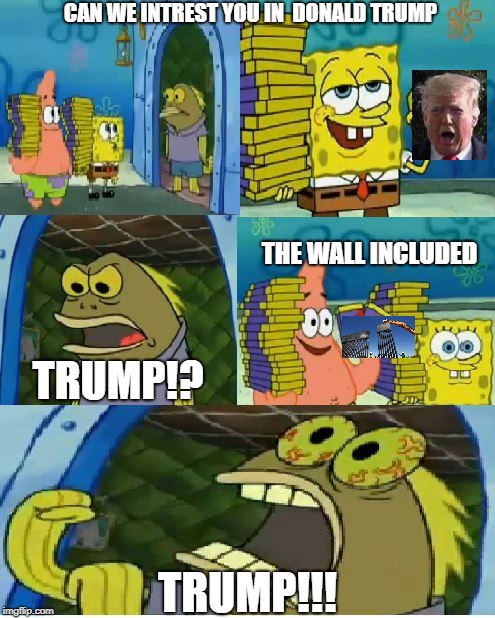 How to trigger a liberal | CAN WE INTREST YOU IN  DONALD TRUMP; THE WALL INCLUDED; TRUMP!? TRUMP!!! | image tagged in memes,chocolate spongebob | made w/ Imgflip meme maker