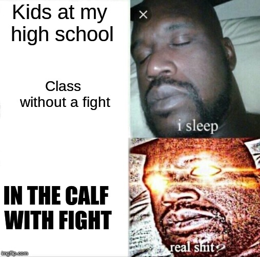 Sleeping Shaq Meme | Kids at my high school; Class without a fight; IN THE CALF WITH FIGHT | image tagged in memes,sleeping shaq | made w/ Imgflip meme maker
