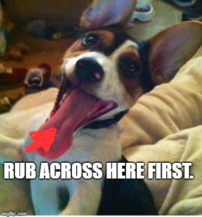 Dog with long tounge | RUB ACROSS HERE FIRST. | image tagged in dog with long tounge | made w/ Imgflip meme maker