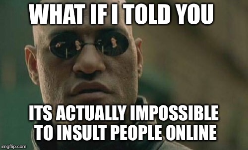 Matrix Morpheus | WHAT IF I TOLD YOU; ITS ACTUALLY IMPOSSIBLE TO INSULT PEOPLE ONLINE | image tagged in memes,matrix morpheus | made w/ Imgflip meme maker