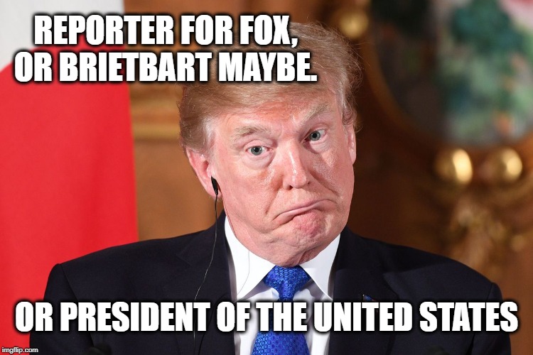 Trump dumbfounded | REPORTER FOR FOX, OR BRIETBART MAYBE. OR PRESIDENT OF THE UNITED STATES | image tagged in trump dumbfounded | made w/ Imgflip meme maker