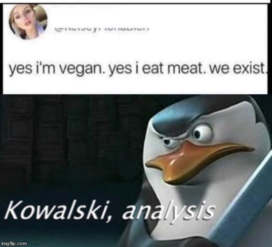 Kowalski Analysis meme | image tagged in kowalski analysis,kowalski,penguins,memes,twitter | made w/ Imgflip meme maker