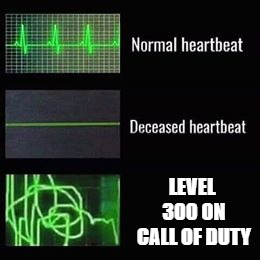 heartbeat rate | LEVEL 300 ON CALL OF DUTY | image tagged in heartbeat rate | made w/ Imgflip meme maker