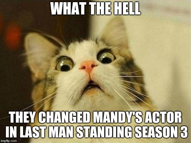 Scared Cat | WHAT THE HELL; THEY CHANGED MANDY'S ACTOR IN LAST MAN STANDING SEASON 3 | image tagged in memes,scared cat | made w/ Imgflip meme maker