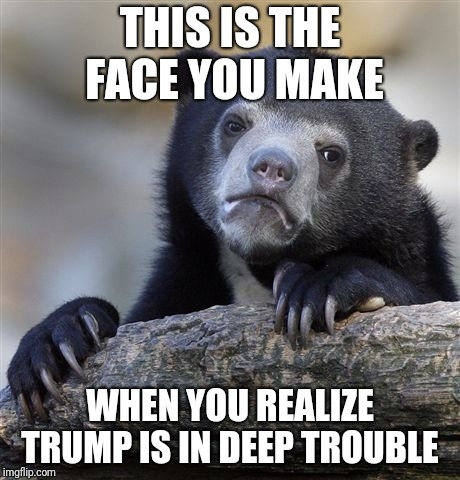 Confession Bear | THIS IS THE FACE YOU MAKE; WHEN YOU REALIZE TRUMP IS IN DEEP TROUBLE | image tagged in memes,confession bear | made w/ Imgflip meme maker