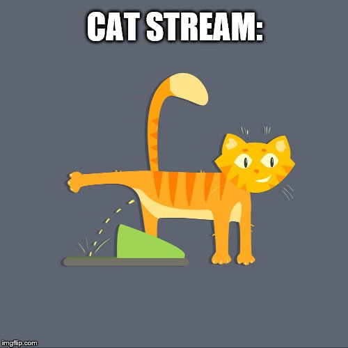 I'm Just Kitten :D | CAT STREAM: | image tagged in cats,piss,bad pun,streams | made w/ Imgflip meme maker